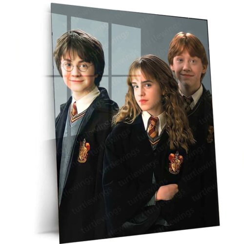 Harry Potter Metal Poster ? Magical Wall Art | Wizarding World Decor 3
