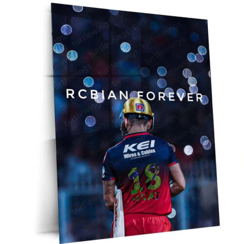 Cricket Metal Poster | Virat Kohli Metal Poster ? Iconic Cricket Legend Wall Art 5